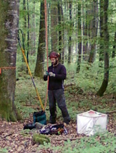 Im Wald Waldsanierung